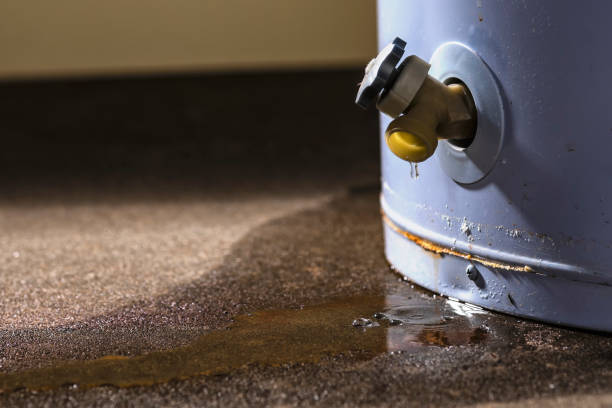 Best Water damage restoration near me  in Woodward, IA