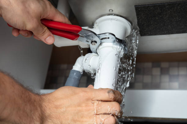 Best Water damage restoration experts  in Woodward, IA