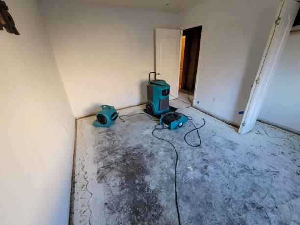 Best Flood restoration services  in Woodward, IA