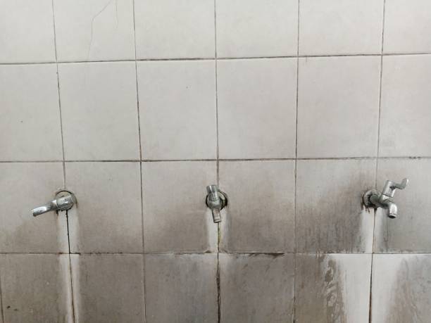 Best Emergency water damage restoration  in Woodward, IA